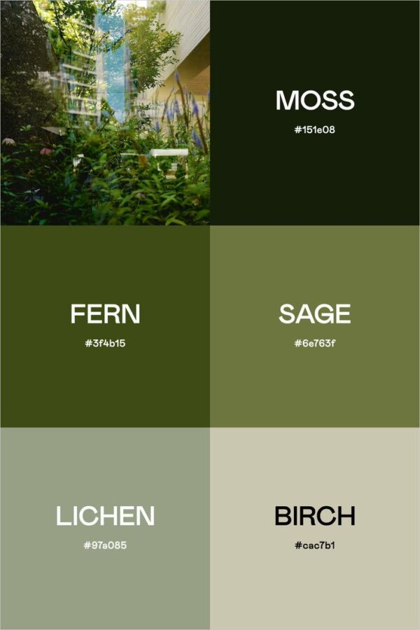 Nature et couleur vert psychologie