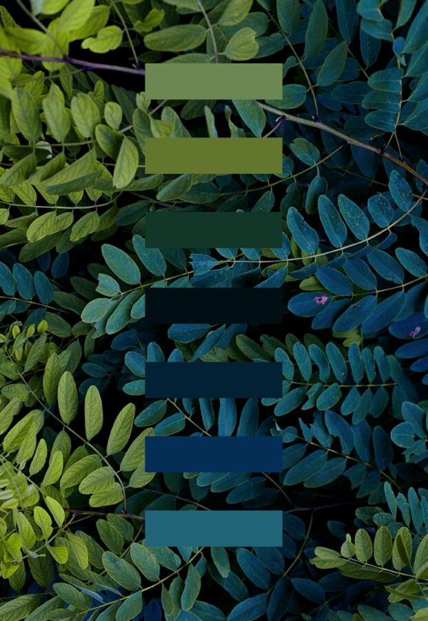 signification psychologique couleur vert