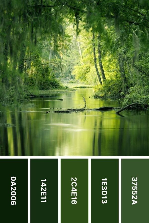 Nature et couleur vert psychologie