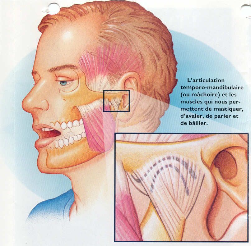 signification psychologique mal aux cervicales