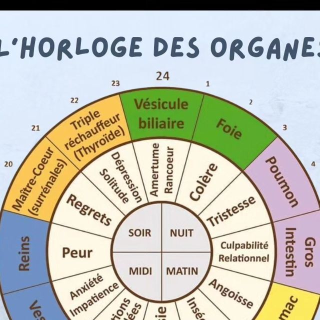 Chromothérapie vie quotidienne
