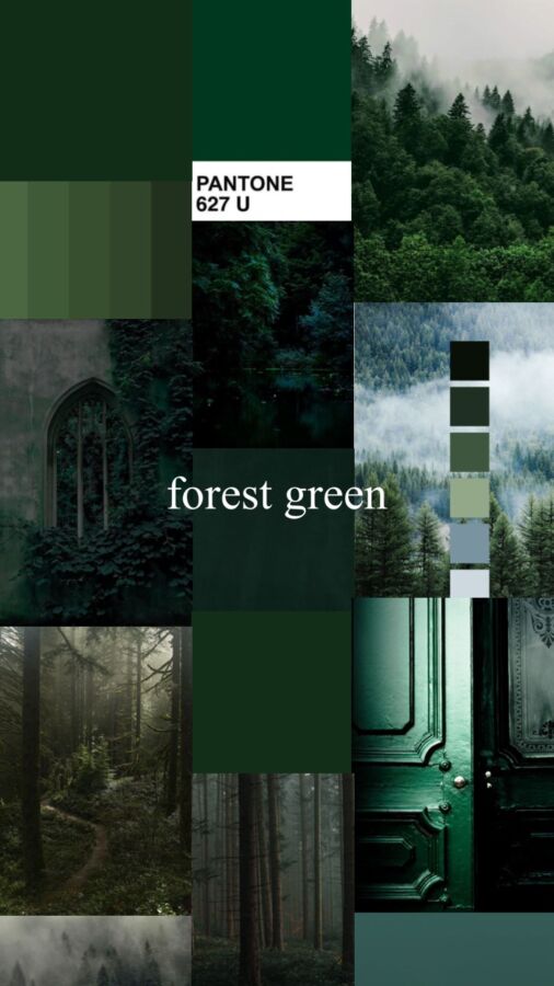 signification psychologique couleur vert