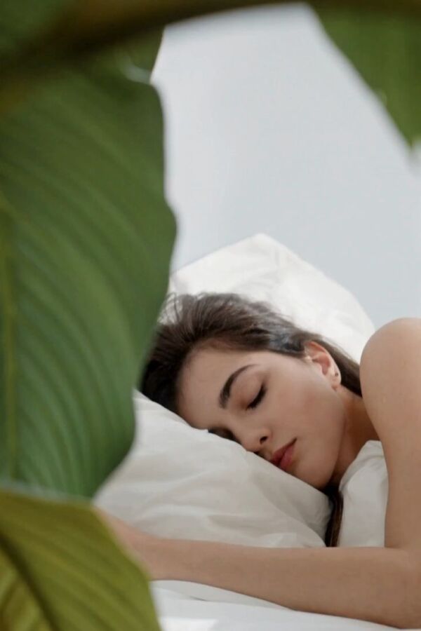 Sommeil