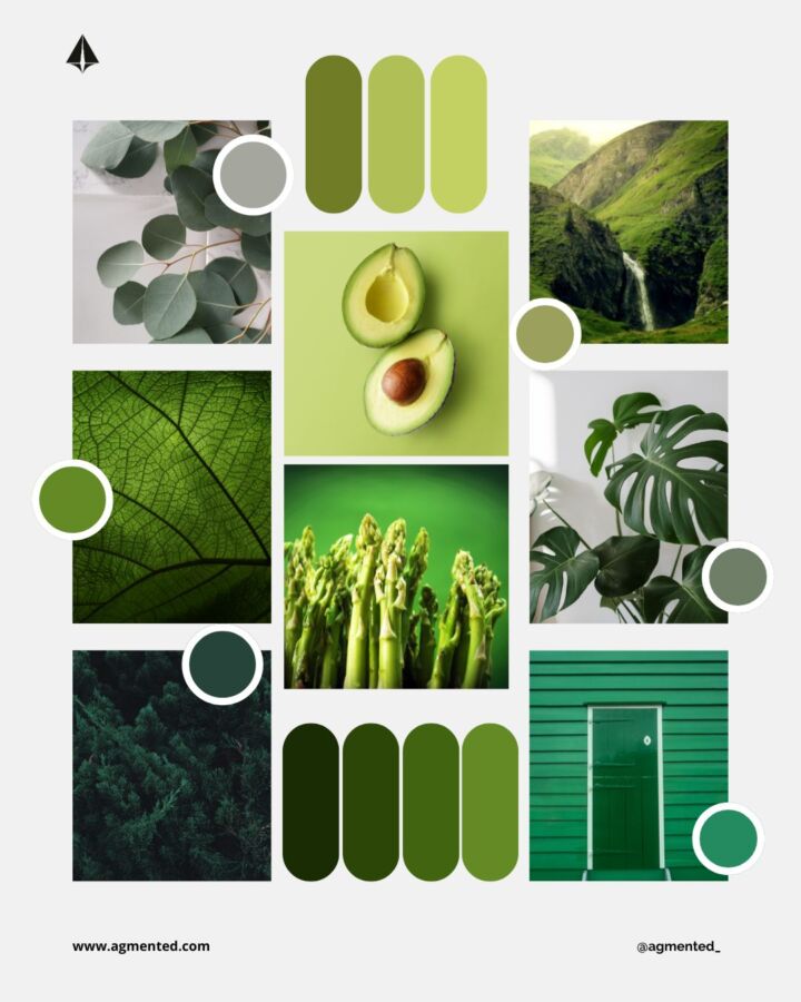 Nature et couleur vert psychologie