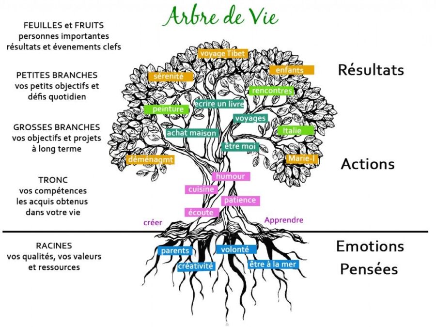 Illustration de l'arbre de vie et sa signification spirituelle
