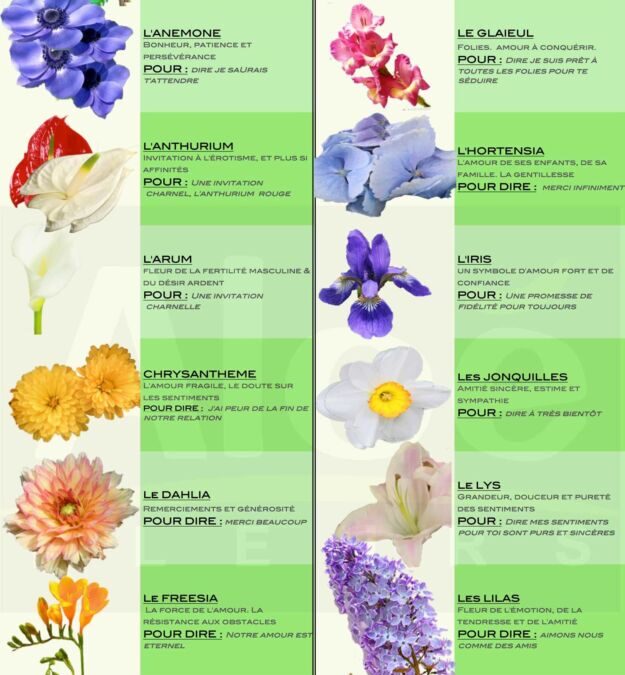 Signification couleur des fleurs : découvrez les symboles cachés derrière chaque teinte