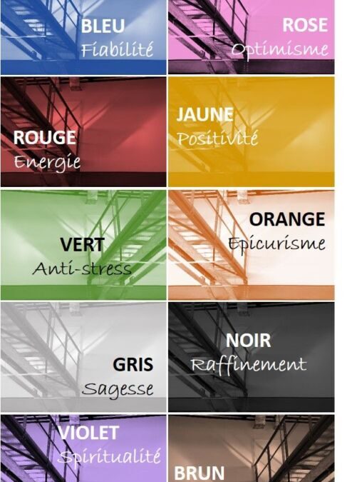 La couleur des émotions pdf gratuit : guide complet pour mieux comprendre et gérer ses sentiments