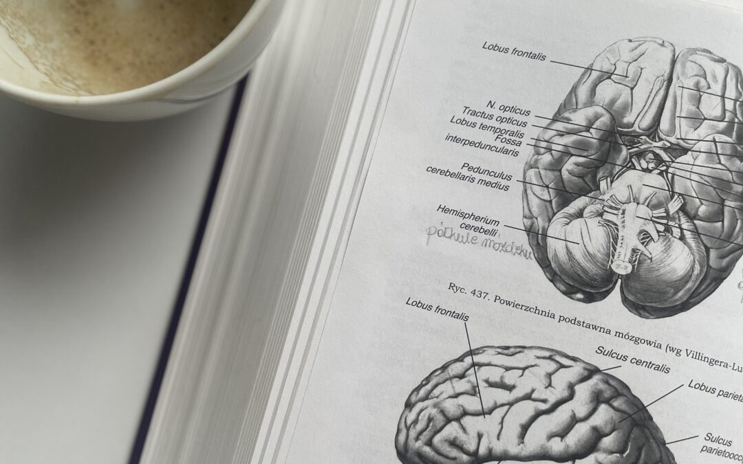 Licence psychologie à distance : Tout ce que vous devez savoir