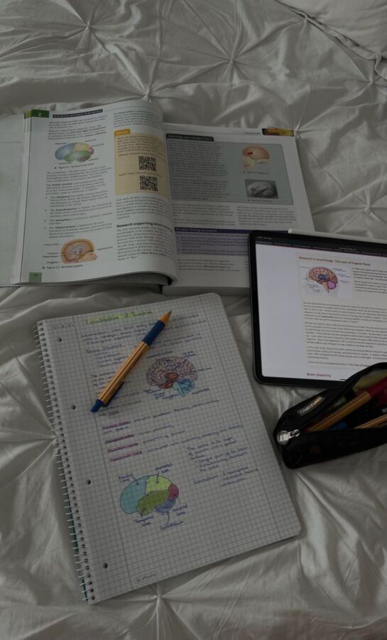 Cours en ligne pour licence psychologie à distance