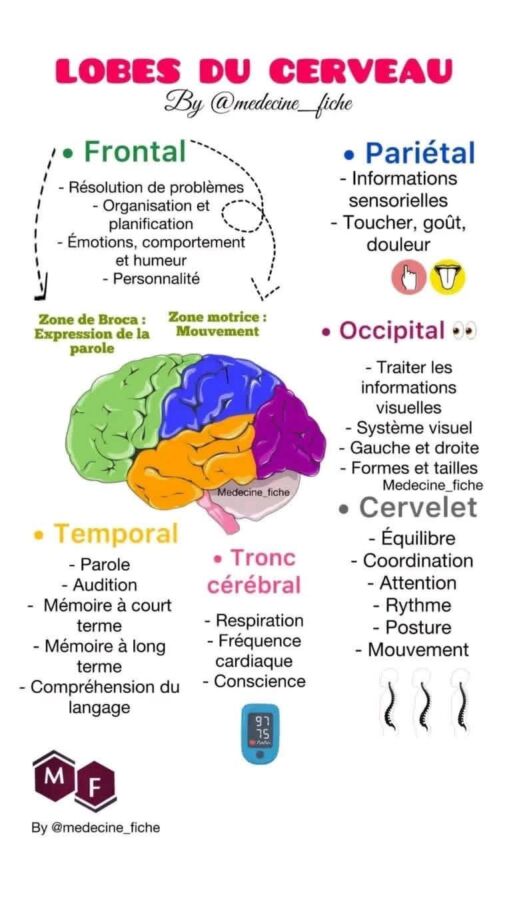 Diplôme de licence psychologie obtenu à distance