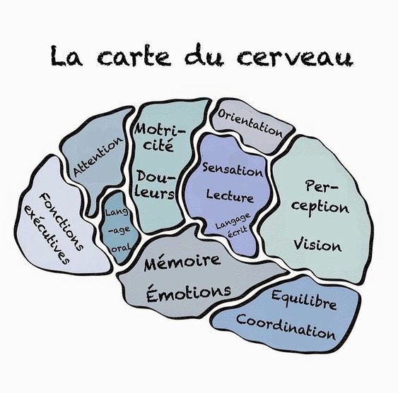 Diplôme de licence psychologie obtenu à distance