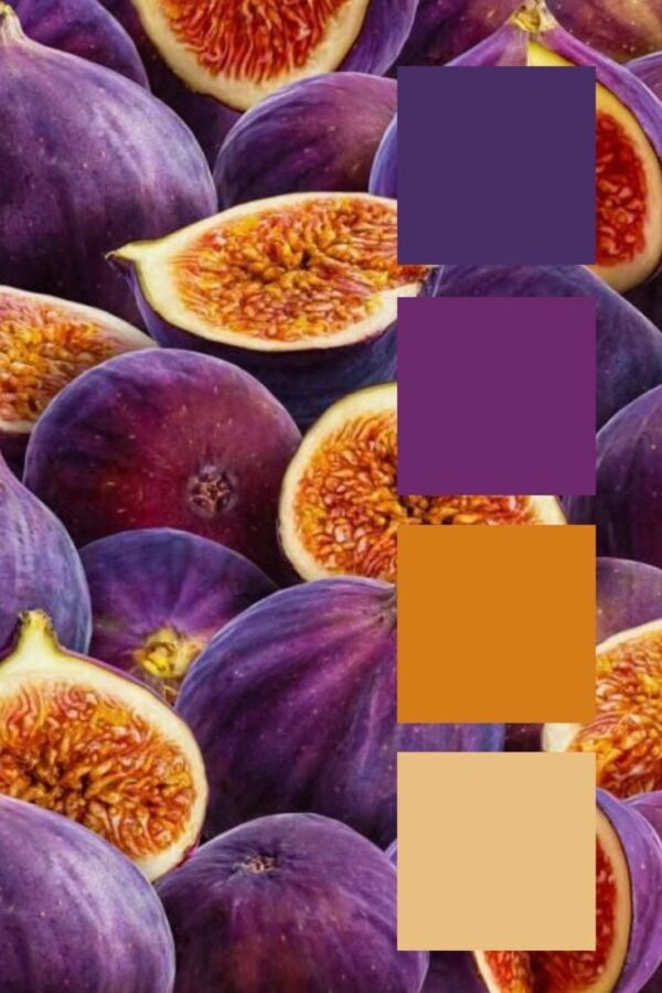 Couleurs et identité visuelle