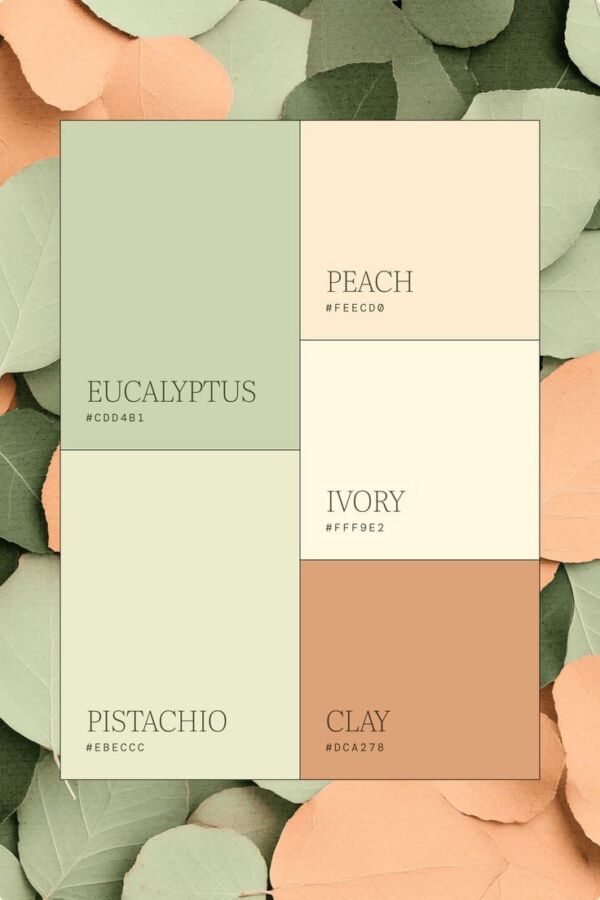 Impact des couleurs en branding