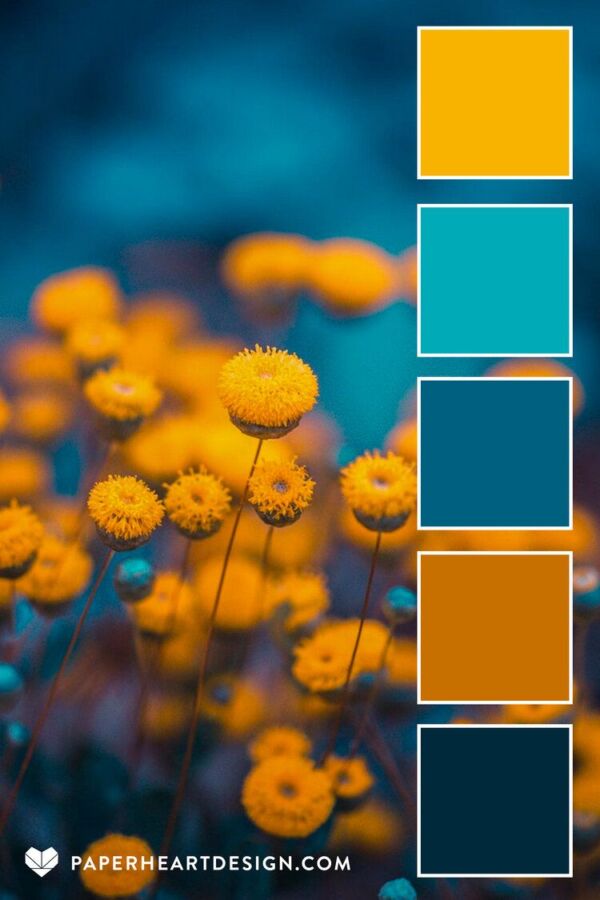 Psychologie couleurs utilisateur