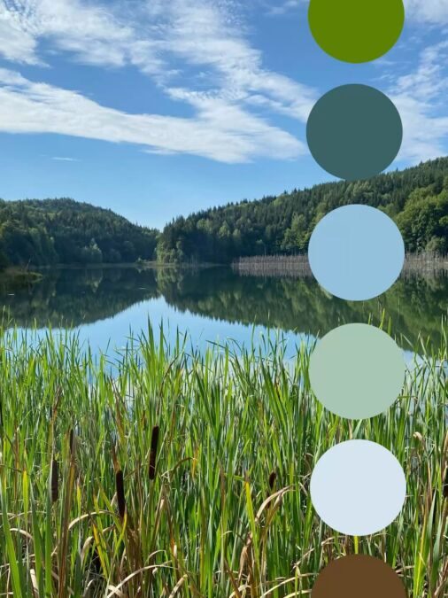 L&rsquo;importance des couleurs dans l&rsquo;environnement et leur influence sur notre quotidien