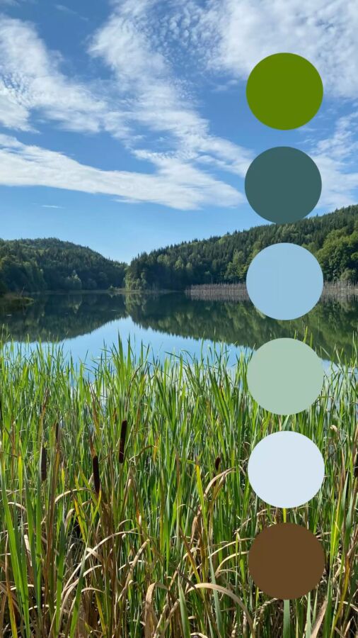 Impact des couleurs environnement