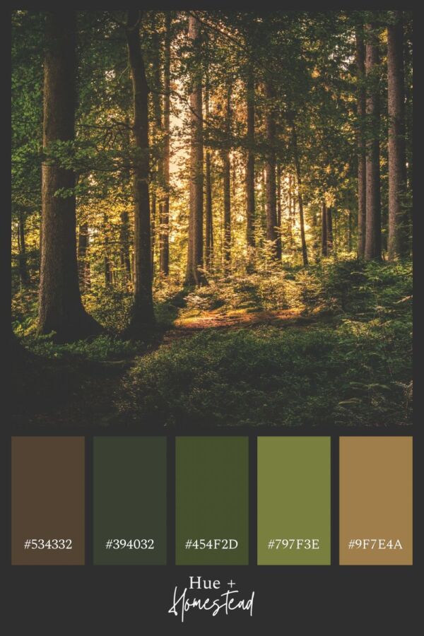 Couleurs influencent notre quotidien