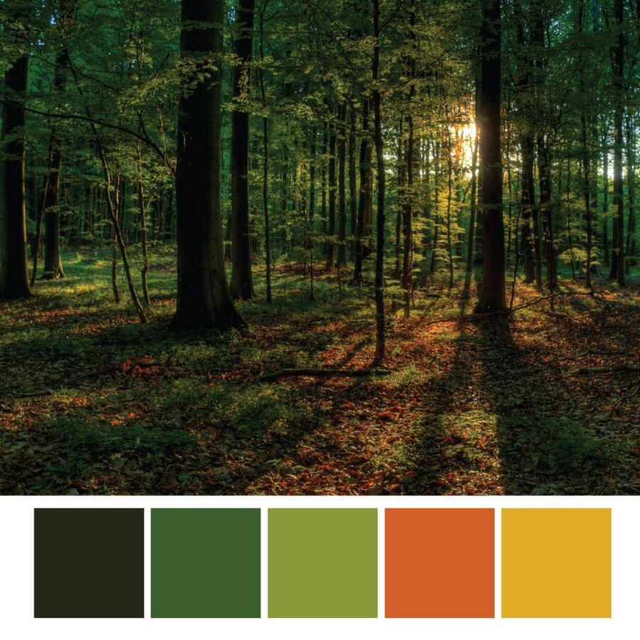 Signification des couleurs environnement