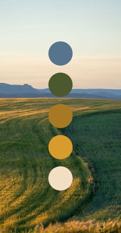 Impact des couleurs environnement