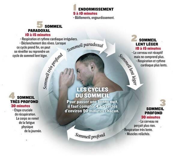 Causes apnée du sommeil