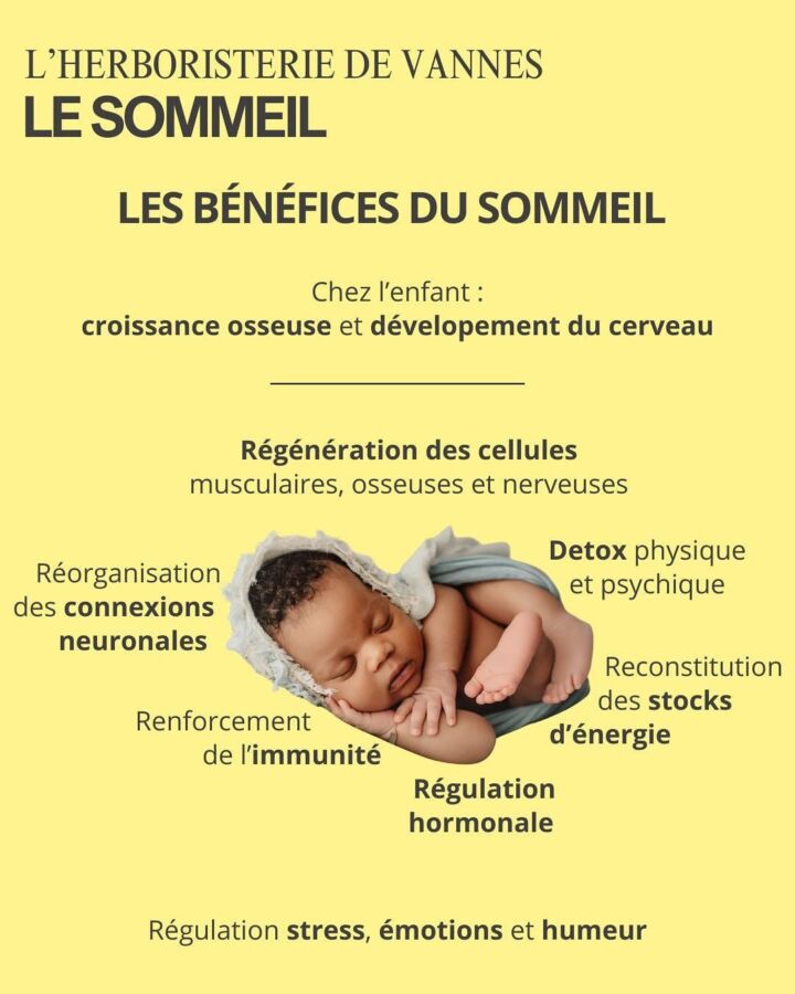 Causes apnée du sommeil
