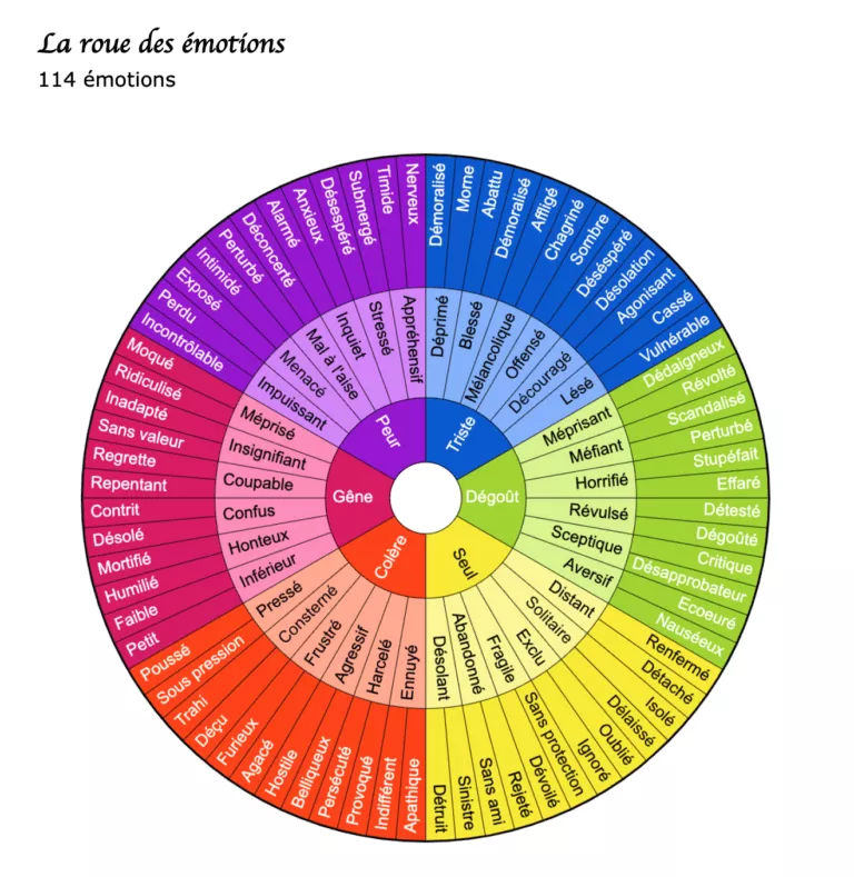 Télécharger roue des émotions