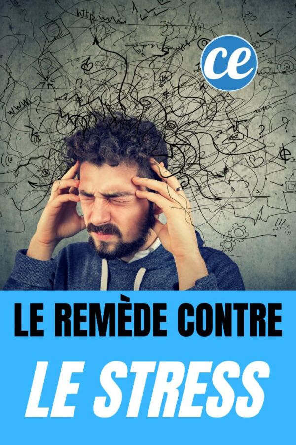 Solution anti-stress efficace