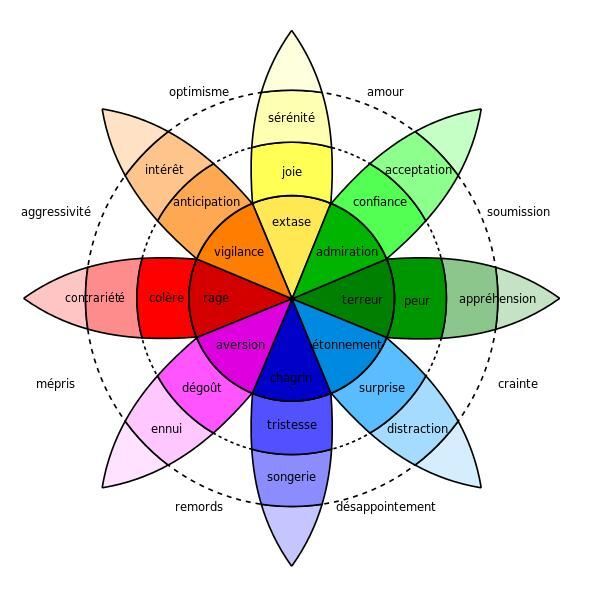 Différence entre émotions et sentiments : l&rsquo;essentiel en pratique