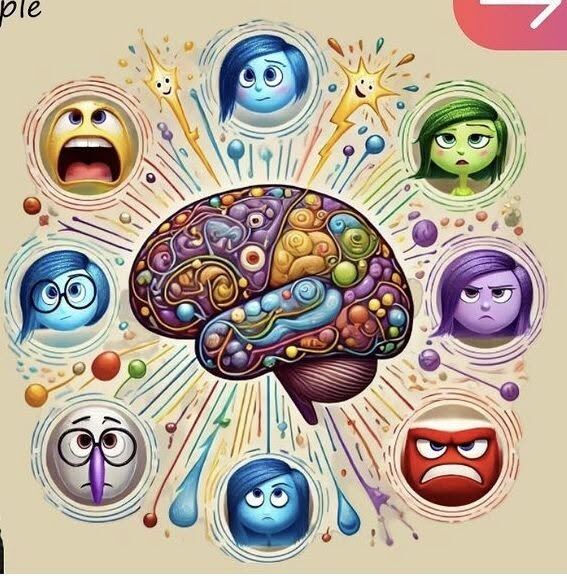 Émotions et cerveau senior