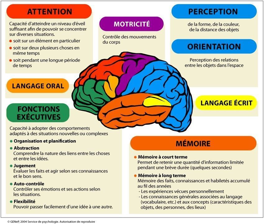 Cerveau émotions après 60 ans
